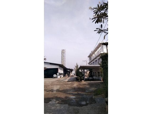 ขายโรงงานแป้งมัน 84ไร่ เหมา600ล้าน อ.ท่าม่วง จ.กาญจนบุรี.โรงงานยังดำเนินกิจการอยู่ กำลังการผลิต120ตันต่อวัน
