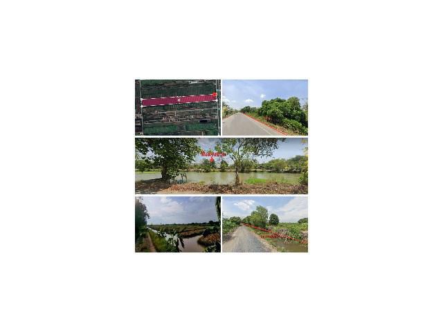 ที่ดิน 90 ไร่ ต.บึงกาสาม อ.หนองเสือ จ.ปทุมธานี