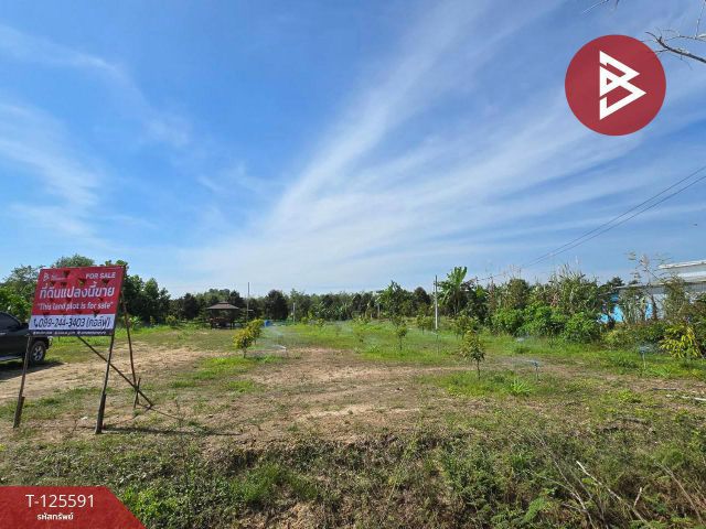 ขายที่ดินสวนทุเรียน เนื้อที่ 1 ไร่ 73 ตร.วา มะขาม จันทบุรี