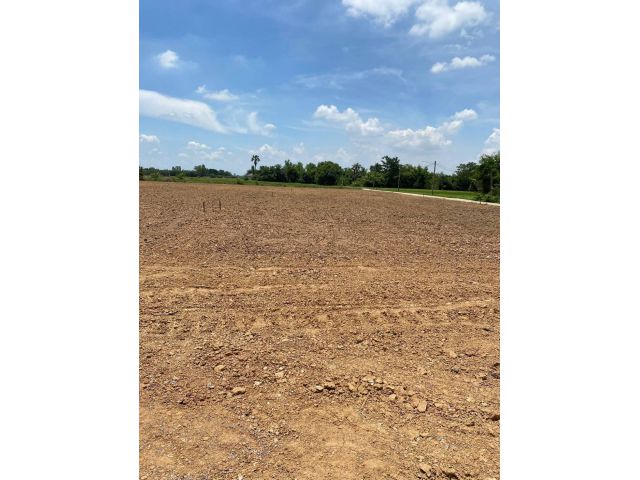 L1405 ที่ดินถมแล้ว แบ่งขาย เริ่มที่ 82-100 ตรว หนองแค สระบุรี