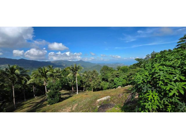 ขายที่ดินซีวิวบรรยากาศดีเกาะสมุย