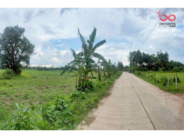 ขายที่ดิน 5-2-15 ไร่ ตำบลพลกรัง นครราชสีมา ราคาถูก ใกล้วัดบ้านบึงตะโก