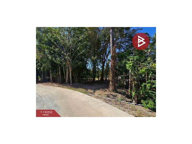 ขายที่ดิน เนื้อที่ 5 ไร่ 0.5 ตร.วา ท่าใหม่ จันทบุรี