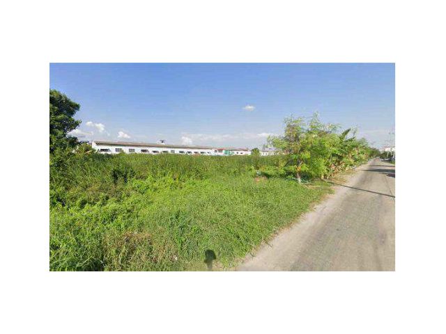 ขายที่ดิน 2 ไร่ คลองสี่ ซอยร่วมสุข1 ถนนพระองค์เจ้าสาย ใกล้ตลาดเอซี ต.ลาดสวาย อ.ลำลูกกา จ.ปทุมธานี