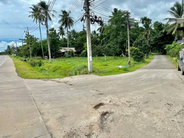 | SALE !!! ขายที่ดินซีวิวถลางบ้านพารา ป่าคลอก เนื้อที่ 335.6 ตารางวา ขายเหมา 8 ล้าน