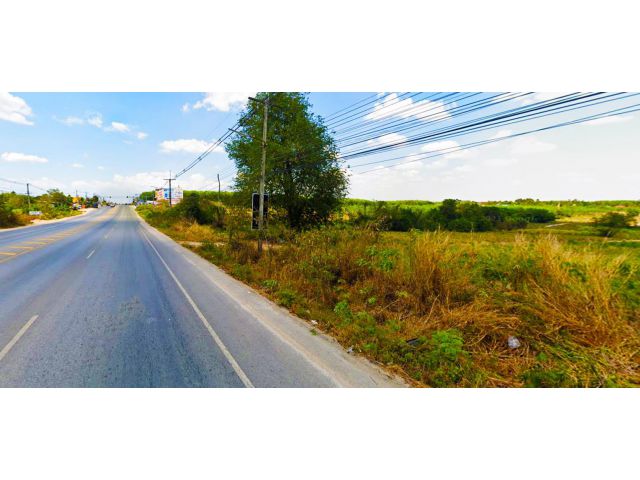 ขายที่ดิน 24 ไร่ ติดถนนลาดยาง ผังสีม่วงลาย ใกล้ BYD ต.พนานิคม อ.นิคมพัฒนา จ.ระยอง