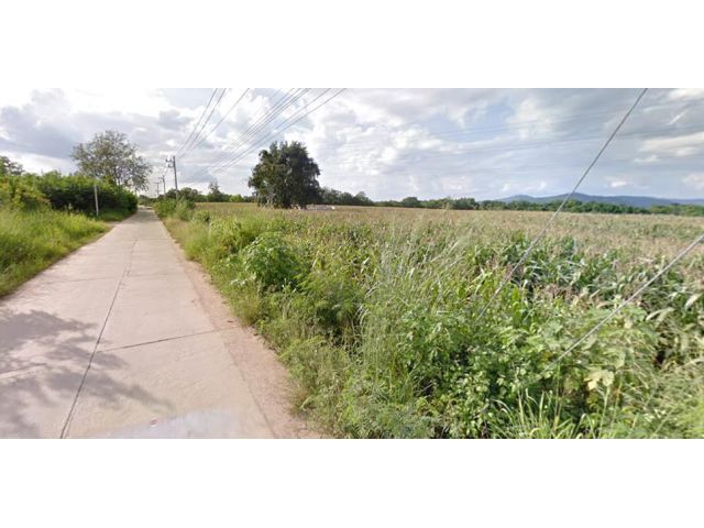 ขายที่ดิน 24 ไร่ ใกล้ถนนมอเตอร์เวย์โคราช หนองน้ำแดง อ.ปากช่อง จ.นครราชสีมา