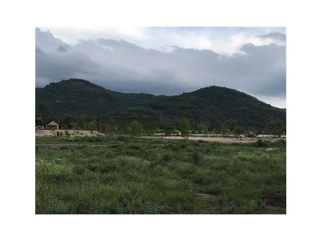 ที่ดิน แปลงสวย  5  ดาว     โฉนดครุฑแดง