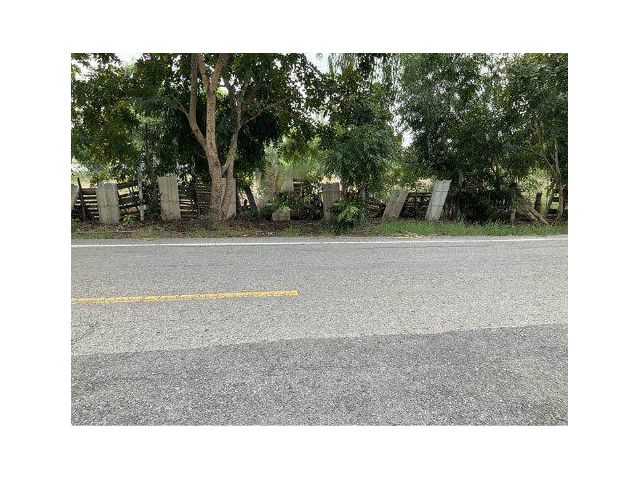 ขายที่ดิน 4 ไร่ ใกล้ ม.มหาจุฬาลงกรณราชวิทยาลัย ต.ลำไทร อ.วังน้อย จ.พระนครศรีอยุธยา