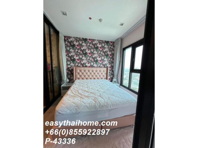 P-43336 ให้เช่า คอนโด เดอะเบส เพชรเกษม  แขวงบางหว้า เขตภาษีเจริญ กรุงเทพมหานคร พร้อมอยู่ ราคาถูก