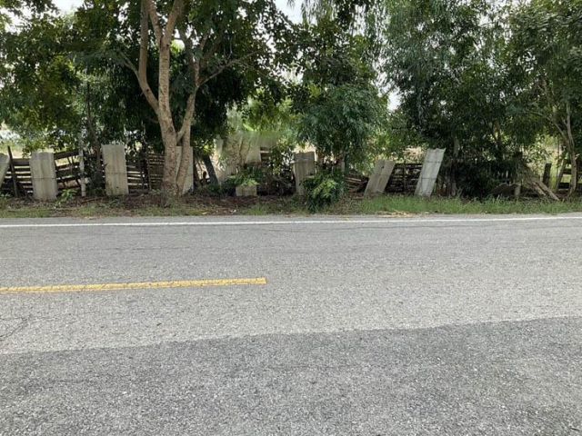 ขายที่ดิน 4 ไร่ ใกล้ ม.มหาจุฬาลงกรณราชวิทยาลัย ต.ลำไทร อ.วังน้อย จ.พระนครศรีอยุธยา