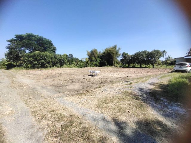 รีบขายด่วน 3งาน 66.8 ตร.ว ต่ำกว่าราคาประเมินกรมที่ดิน  ซอยชลประสิทธิ์19 ในเมืองนครนายก เดินทางสะดวก