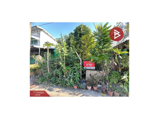 ขายที่ดิน เนื้อที่ 43.5 ตร.วา ลำลูกกา ปทุมธานี