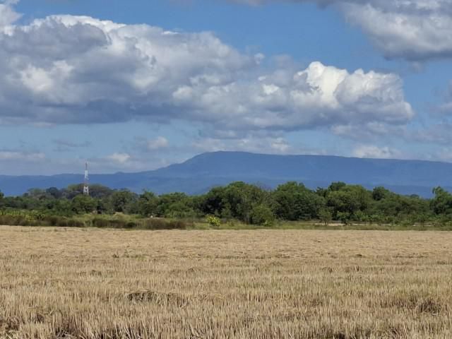 ที่ดิน โฉนดขายถูกๆ  เป็นหนี้  สหกรณ์  เเละ ป่วย