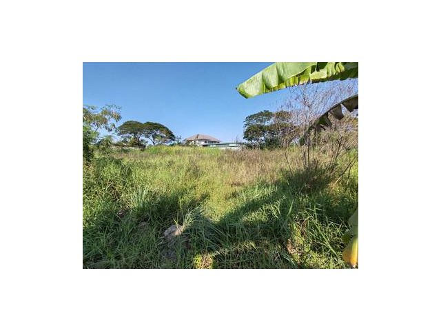 ที่ดินเปล่า 200 ตร.ว. ซอยหมู่บ้านเคหะการเกษตร 23