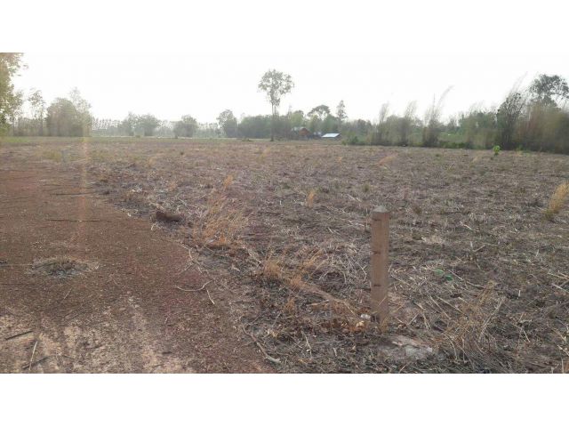 L1410 ขายที่ดินใกล้นิคมฯโรจนะ ยกแปลง/แบ่งขาย 3 ไร่ ศรีมหาโพธิ ปราจีนบุรี