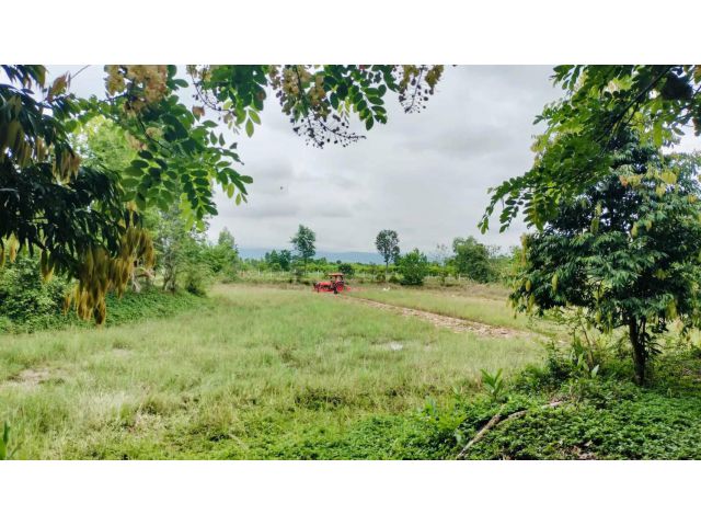 L1413 ขายที่ดิน 4 ไร่ ประจันตคาม ปราจีนบุรี