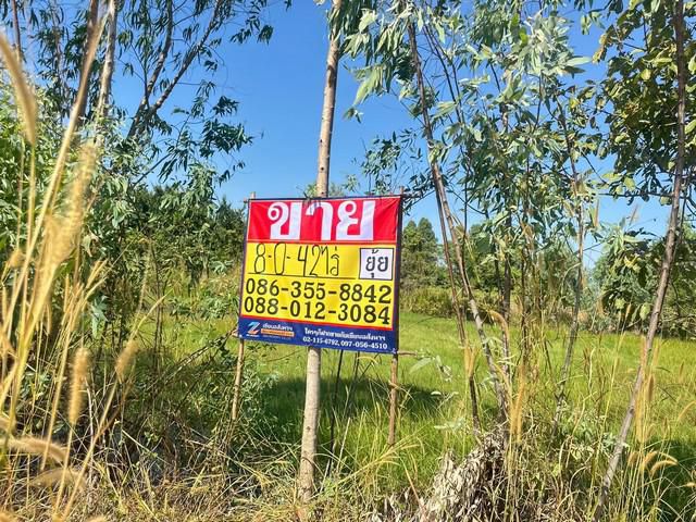 ขายที่ดิน 8-0-42 ไร่ ใกล้สวนพระพิฆเนศ ตะเคียนเตี้ย บางละมุง ชล