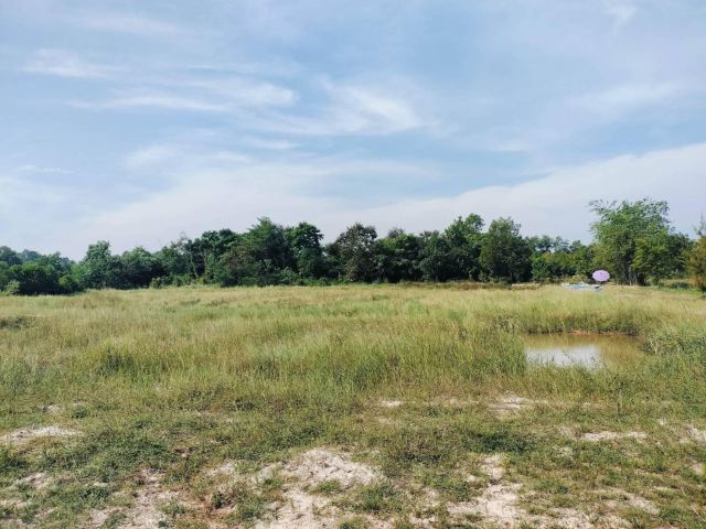 L1412 ขายที่ดิน 2 ไร่ ประจันตคาม ปราจีนบุรี