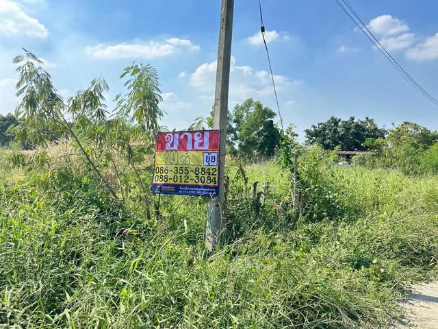 ขายที่ดิน 200 ตารางวา ติดถนนเทศบาลตำบลหมอนนาง พนัสนิคม ชลบุรี