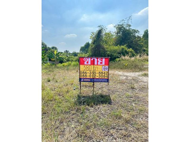 ขายที่ดิน 380 ตารางวา  มาบไผ่  บ้านบึง  ชลบุรี