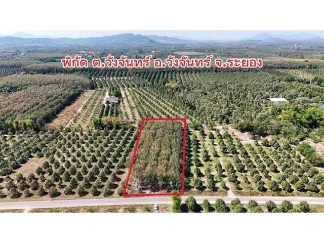 ขายที่ดินสวนยางติดถนนลาดยางเนื้อที่3ไร่ใกล้วัดวังจันทร์จ.ระยองขายไร่ละ850.000.