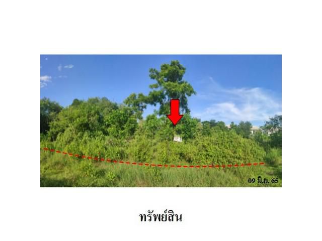 ขายที่ดินว่างเปล่า ถนน กลางเมือง ต.เมืองเก่า อ.เมือง จ.ขอนแก่น