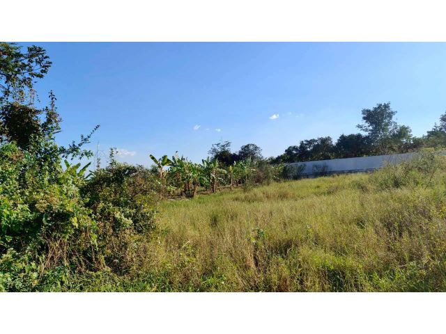 ขายที่ดินโฉนด เนื้อที่ 258 ตรว. ติดถนนคอนกรีต