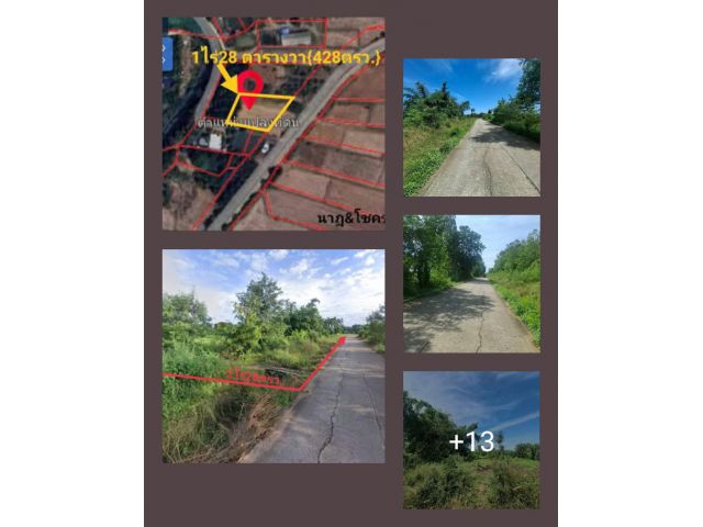 !!!!ที่ดินโฉนดใกล้ปรางพะโค1ไร่28ตรว.ติดคอนกรีตราคาน่ารัก