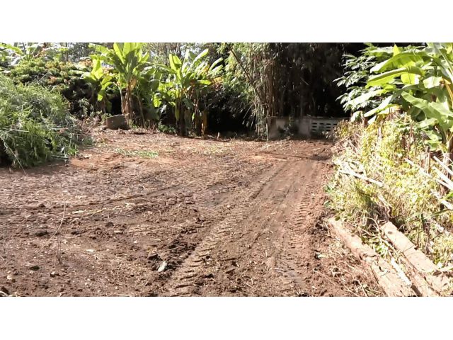 ขายที่ดินเปล่า อยู่ในหมู่บ้านแม่คะ อ. ฝาง