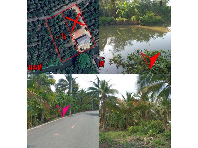 ติดคลอง แบ่งขาย 1 ไร่ 2 ไร่ 3 ไร่ 4 ไร่ ติดถนนลาดยาง