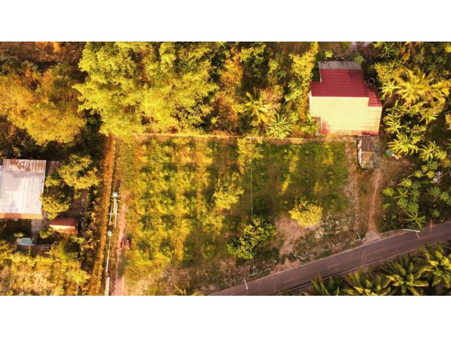 ขายที่ดิน พร้อมสวนทุเรียนในเมืองปราจีนบุรี