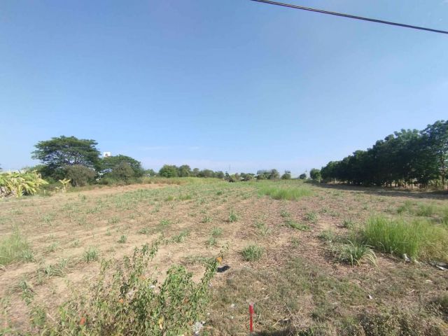 L1427 ขายที่ดินสวยทำเลดี 6 ไร่ เมืองราชบุรี