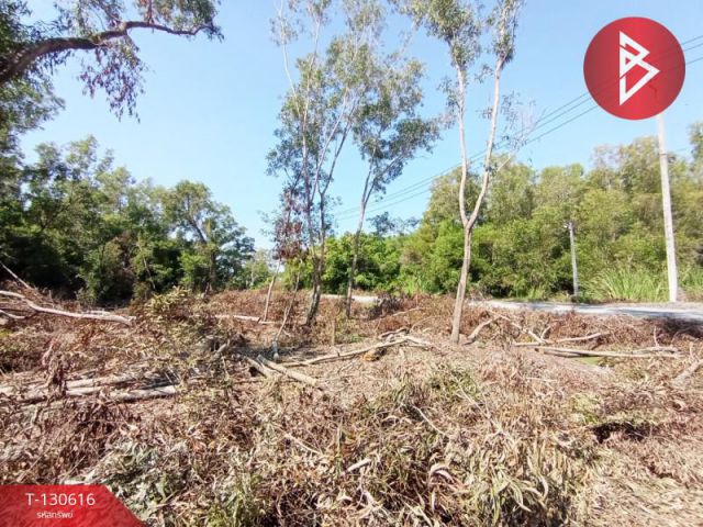 ขายที่ดินเปล่า เนื้อที่ 1 ไร่ 1 งาน 60 ตารางวา คลองสี่ คลองหลวง ปทุมธานี