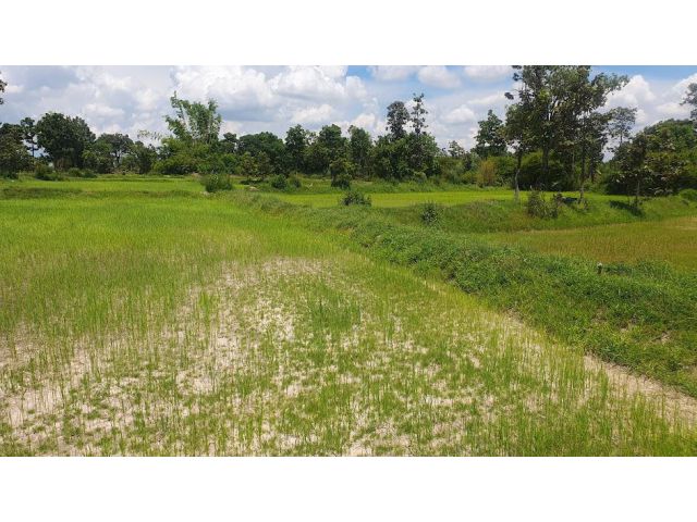 ขายที่ดิน