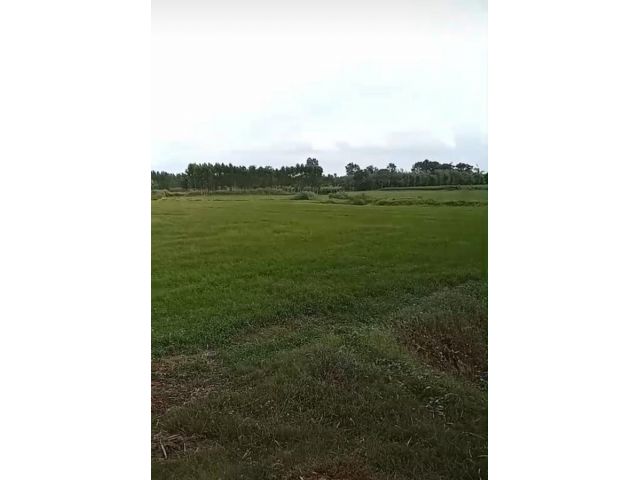 เสนอขายที่ดินแปลงใหญ่เป็นที่นา ที่สวน ที่ไร่ ติดคลองติดฝายน้ำ เนื้อที่ 123 ไร่ ตำบลศาลาลำดวน อำเภอเมือง จังหวัดสระแก้ว