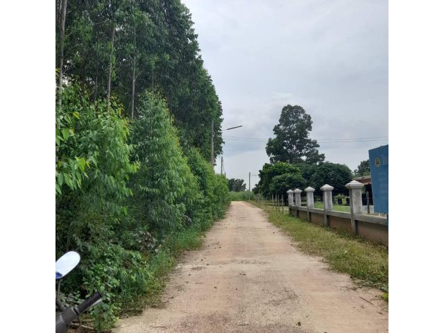 L1415 ขายที่ดินใกล้ถนน.331  1 ไร่ พนัสนิคม ชลบุรี