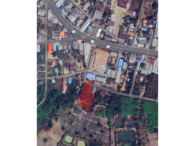 ขายที่ดิน อ.บุณฑริก จ.อุบลราชธานี