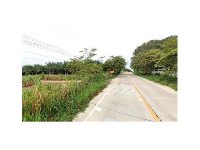 ขายที่ดิน 38 ไร่ ใกล้นิคมอุตสาหกรรมอุตสาหกรรม WHA3 ต.หนองเสือช้าง อ.หนองใหญ่ จ.ชลบุรีฃ