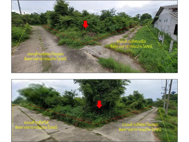 ขายที่ปลูกบ้าน 392 ตรว. ต.เขาขลุง