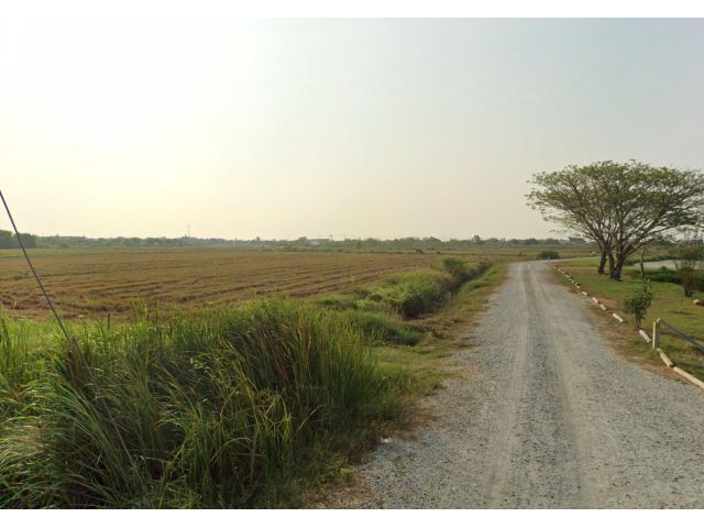 ขายที่ดิน 4 ไร่ ใกล้วัดดอนทราย ต.ดอนทราย อ.บ้านโพธิ์ จ.ฉะเชิงเทรา