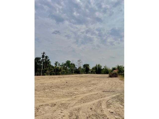 ขายที่ดินหนองเต่า 4 ไร่ 6 ตารางวา ต.ไม้เค็ด อ.เมือง จ.ปราจีนบุรี