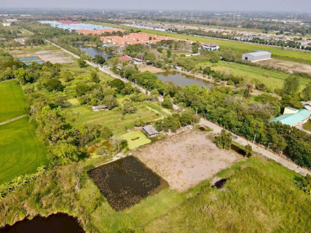 ขายด่วนที่ดินสวยทำเลดี  คลอง7  ต.ลำผักกูด  อ.ธัญบุรี  จ.ปทุมธานี