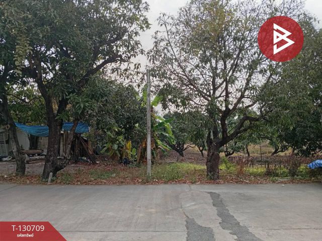 ให้เช่าที่ดิน เนื้อที่ 2 ไร่ 1 งาน 65.5 ตารางวา สามพราน นครปฐม