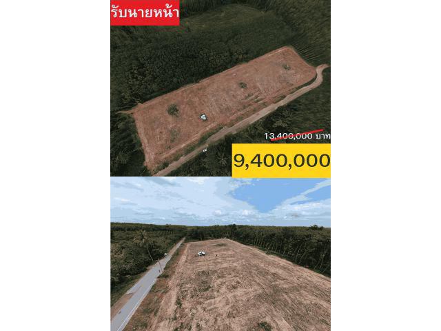 ขายที่ดิน11ไร่ ปัจจุบันลงต้นปาล์มแล้วอายุ2ปี