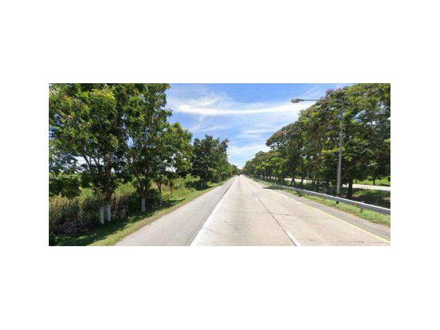 ขายที่ดิน 1,100 ไร่ ผังสีม่วงเข้ม ติดถนนสายบางบัวทอง-สุพรรณบุรี ต.ตะค่า อ.บางปลาม้า จ.สุพรรณบุรี