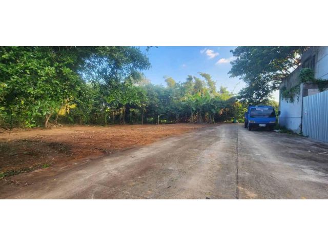 ขายที่ดินตำบลหนองควายหางดงใกล้พืชสวนโลก