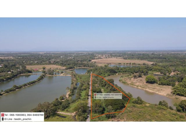 ขายที่ติดแม่น้ำบางปะกง ติดถนน ลาดยาง ถนนดำ ที่มีต้นไม้ใหญ่