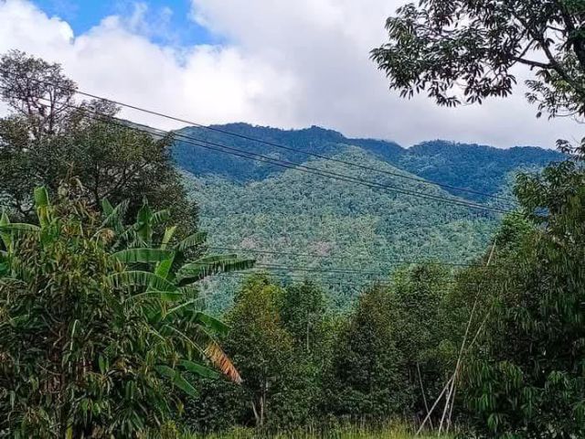 !!!ที่ดินโซนธรรมชาติบ้านทุ่งเพล ใกล้เขา ใกล้น้ำตกเขาบรรจบ!!! เสนอขายที่ดินสวนผลไม้ ทุเรียน มังคุด และลองกอง ติดคลองธรรม