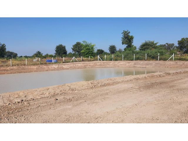 (โฉนด) ที่ดิน 600-800 ตรว.ละ 722 บ. รั้ว 4 ด้าน(ขุดบ่อ ทำสวนนา) ถนนหินคลุก น้ำประปาบาดาล ม.4 (ซอยวัดหนองกะมาน 1 กม.) ต.สระกระโจม อ.ดอนเจดีย์ จ.สุพรรณฯ